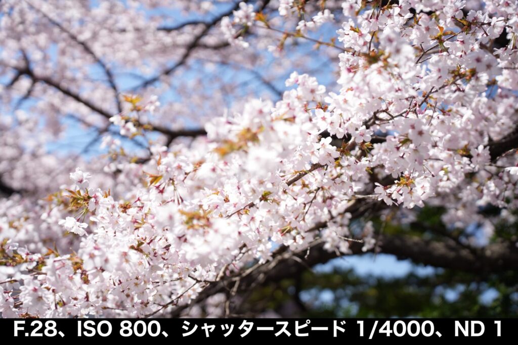 Nisi_true_color_variable_ND1