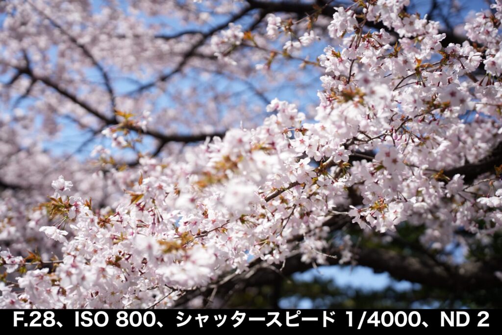 Nisi_true_color_variable_ND2
