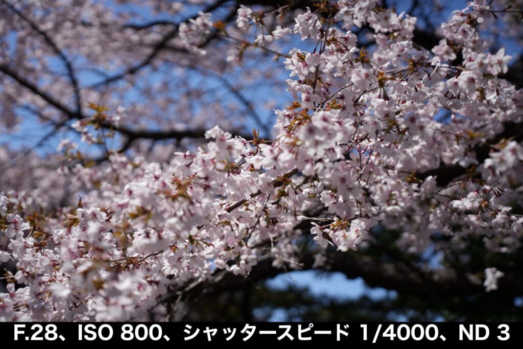 Nisi_true_color_variable_ND3