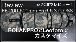SEL200600G_サムネイル