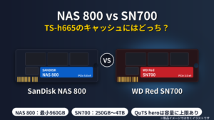 SanDisk NAS 800とWD Red SN700の比較（NASのSSDキャッシュ用途・イラスト）
